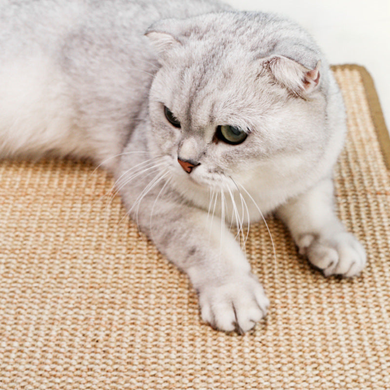 Cat Scratch Mat Protects Sofa and Furniture