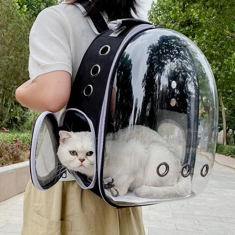 Transparent Pet Carrier Backpack for Cats and Small Dogsv.          🚚
ᶠʳᵉᵉ ˢʰⁱᵖᵖⁱⁿᵍ ⁱⁿᶜˡᵘᵈᵉᵈ